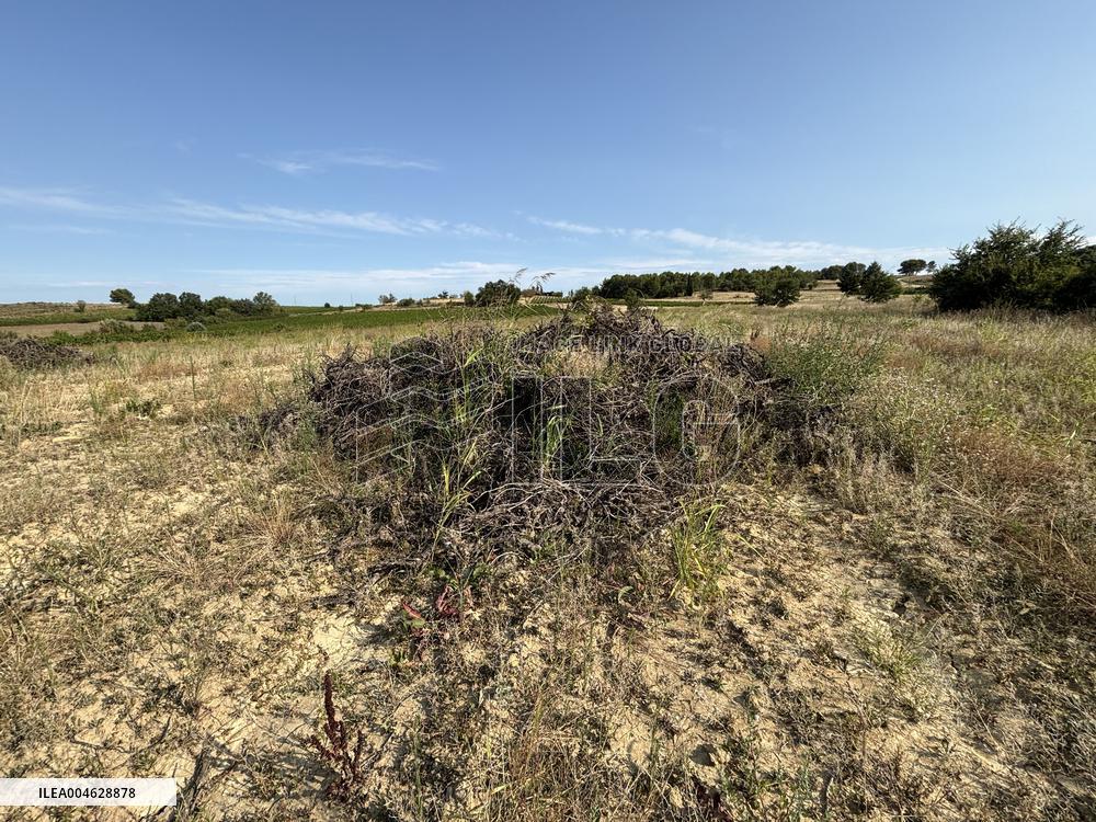 More Than 4 000 Hectares Of Vines Snapped in Gard - France