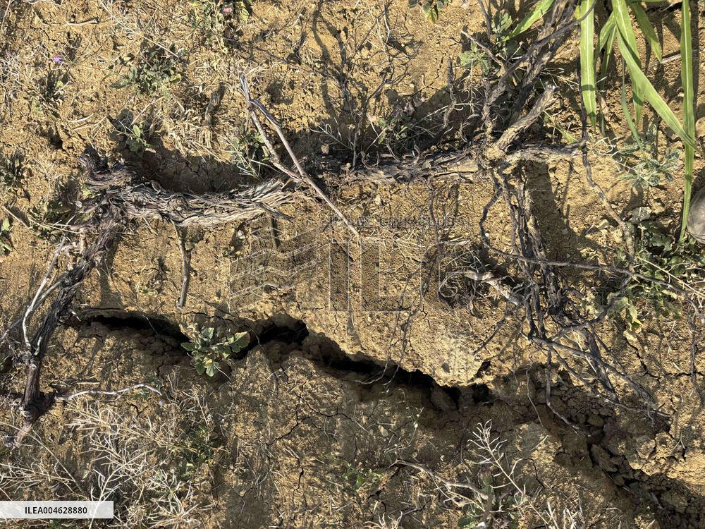 More Than 4 000 Hectares Of Vines Snapped in Gard - France