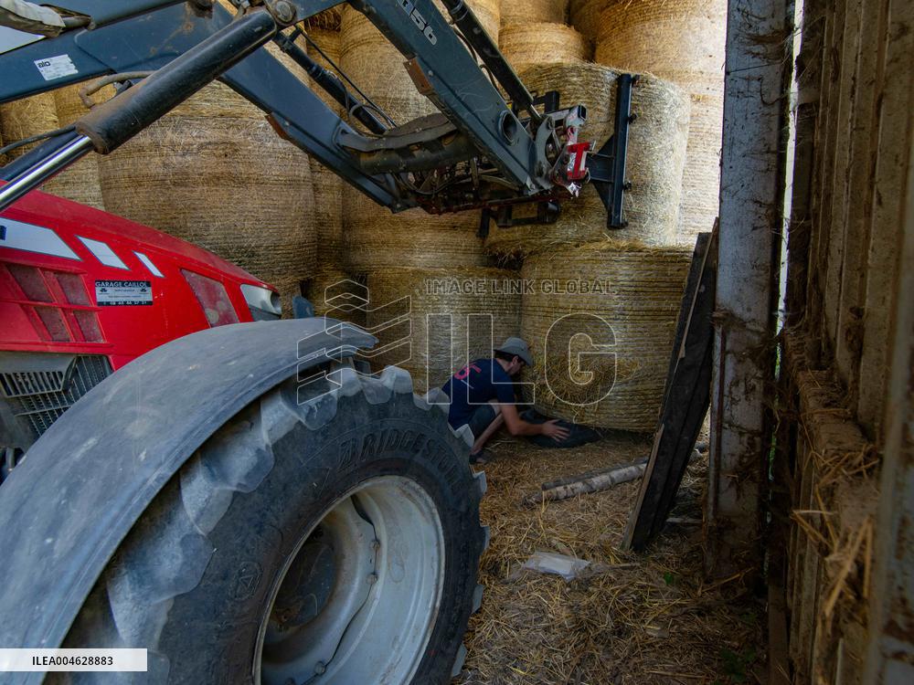 Illustration - Farming in Aveyron - France