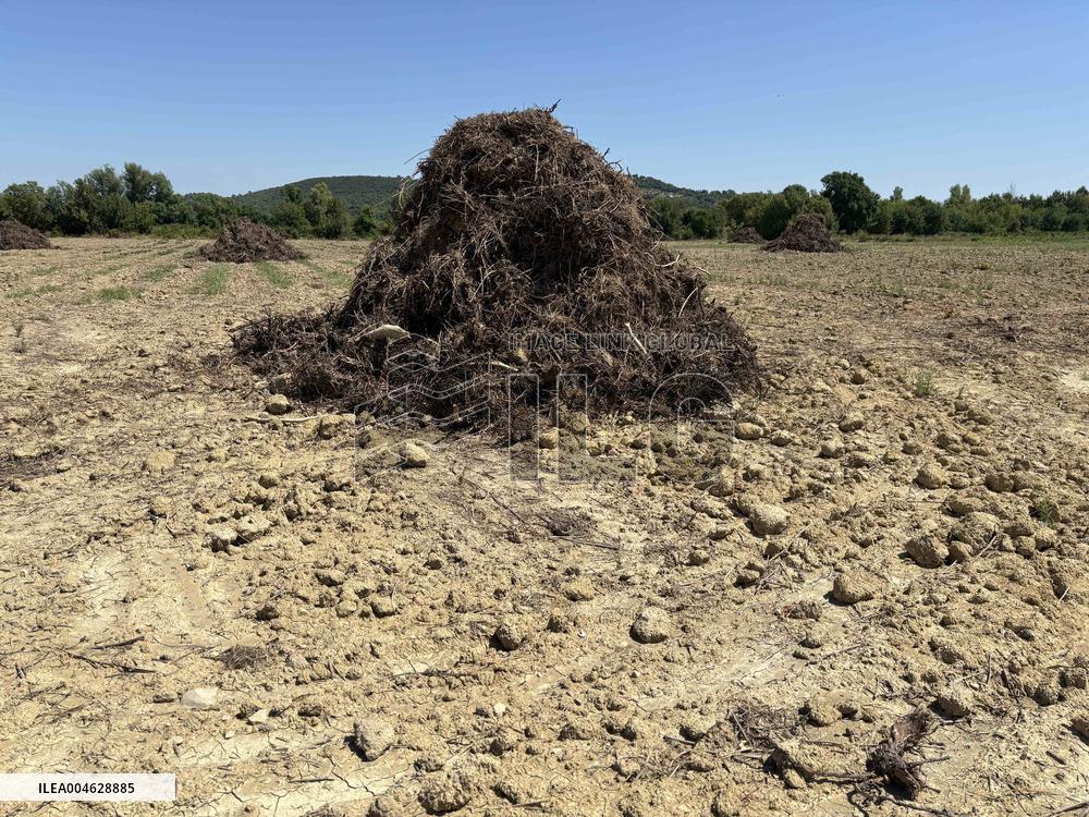 More Than 4 000 Hectares Of Vines Snapped in Gard - France