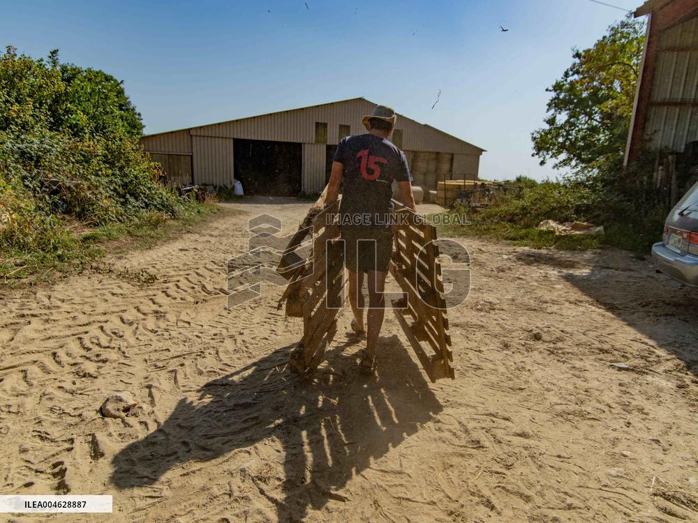 Illustration - Farming in Aveyron - France