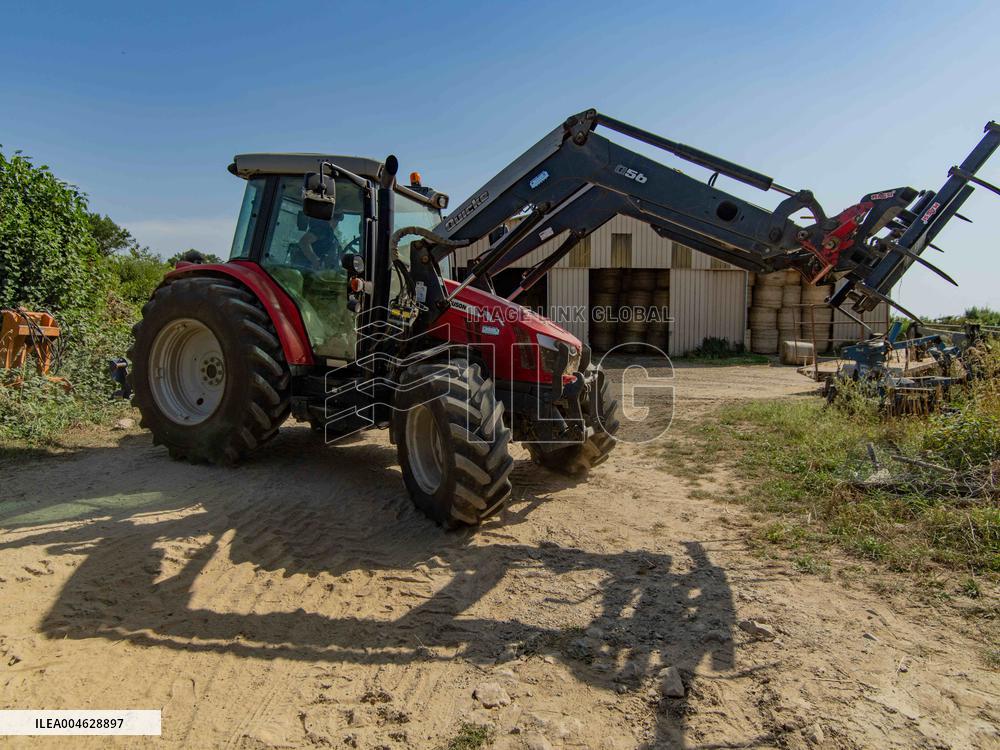 Illustration - Farming in Aveyron - France