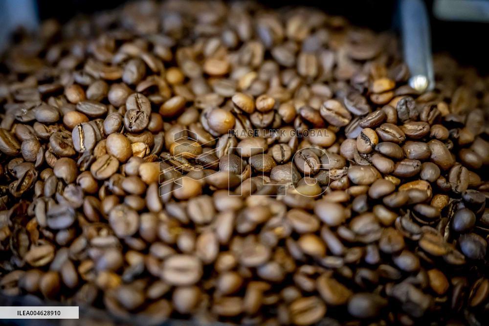 Illustration - Coffee beans