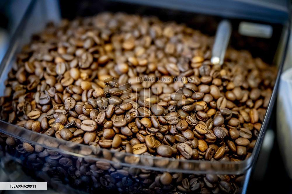 Illustration - Coffee beans