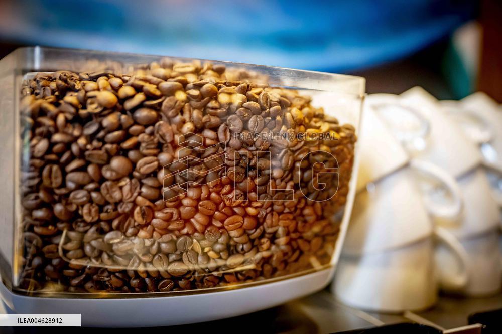 Illustration - Coffee beans