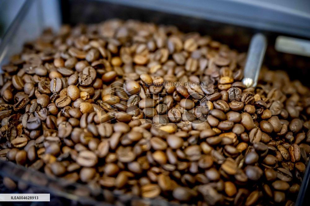 Illustration - Coffee beans