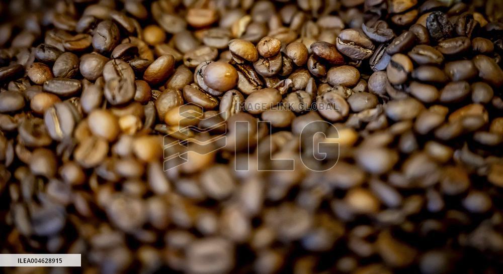 Illustration - Coffee beans