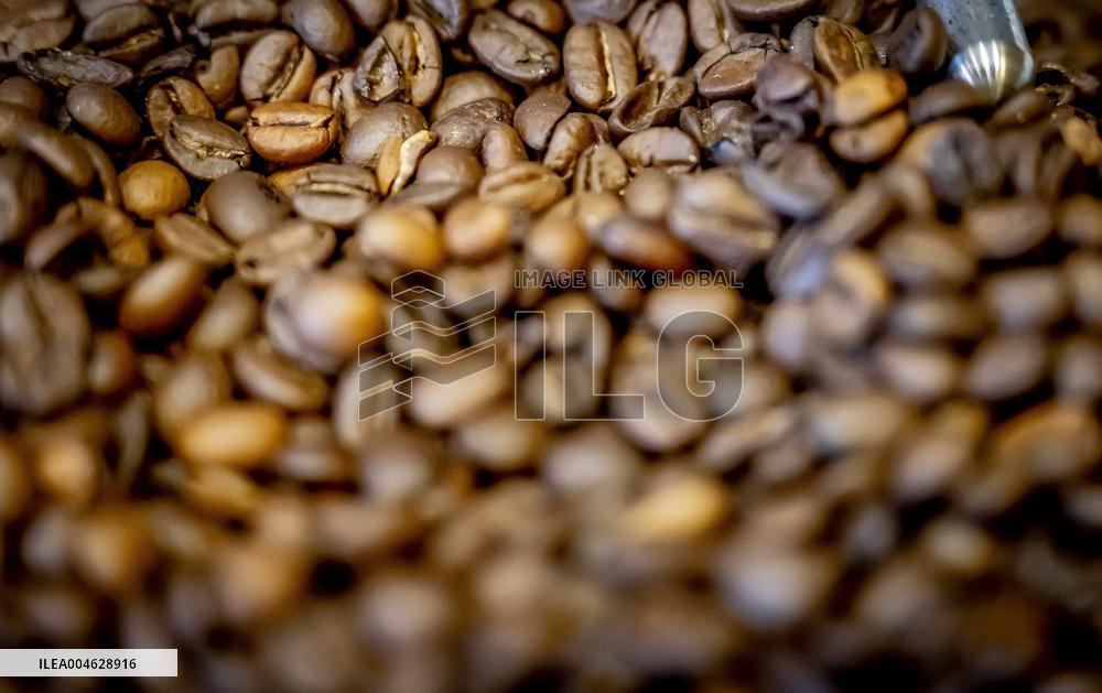 Illustration - Coffee beans