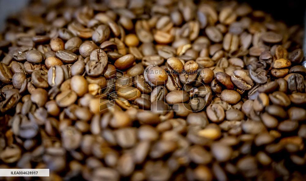 Illustration - Coffee beans