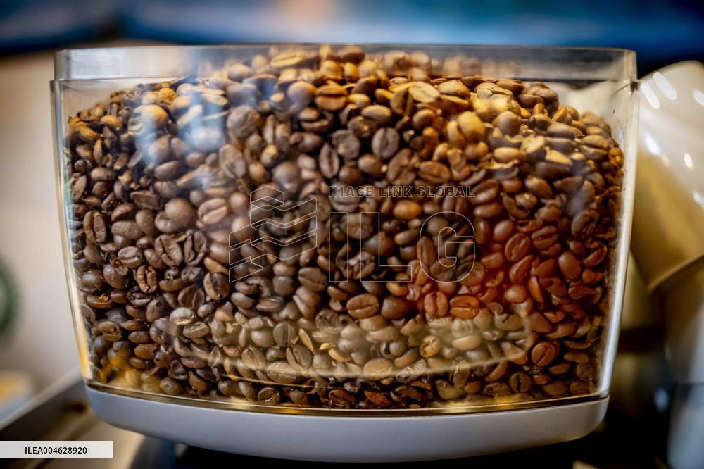 Illustration - Coffee beans