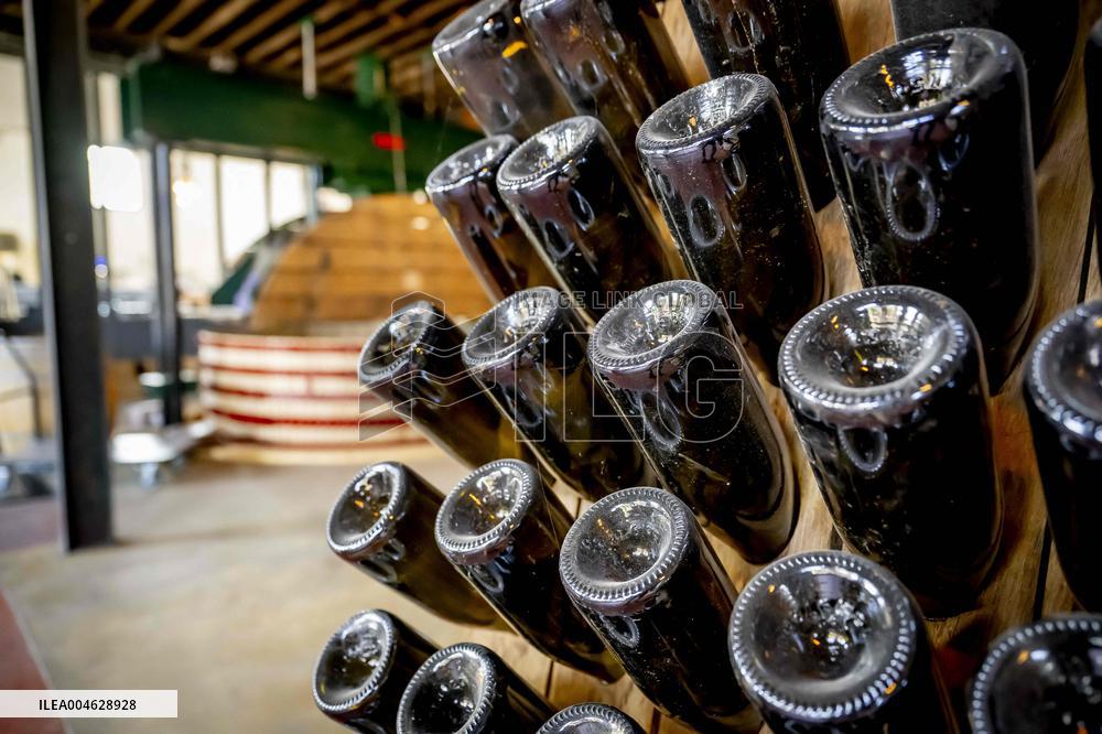 Illustration - The Making of Champagne