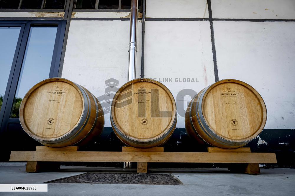 Illustration - The Making of Champagne