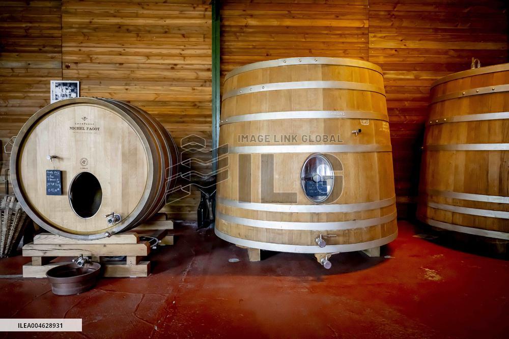 Illustration - The Making of Champagne