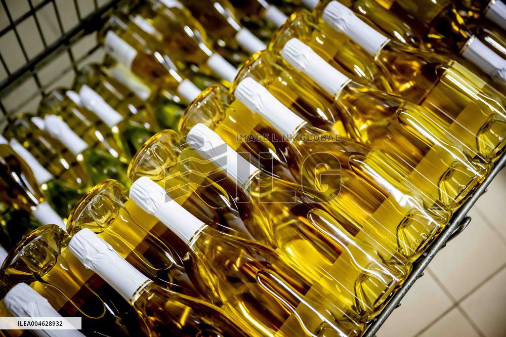 Illustration - The Making of Champagne