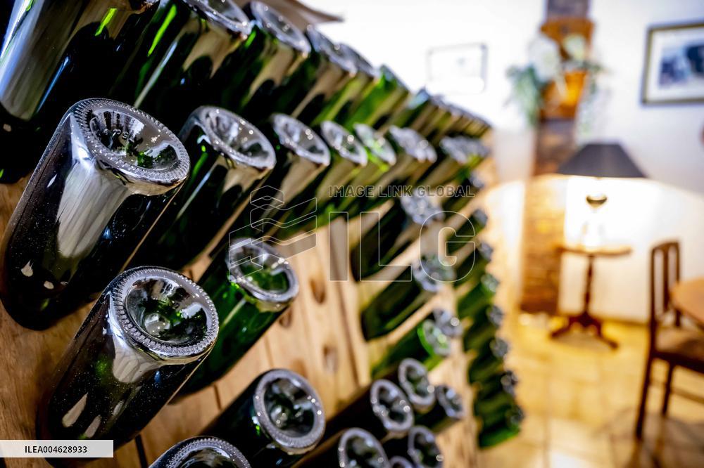 Illustration - The Making of Champagne