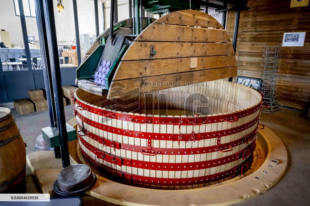 Illustration - The Making of Champagne