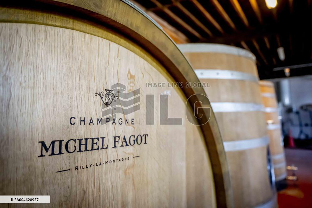 Illustration - The Making of Champagne