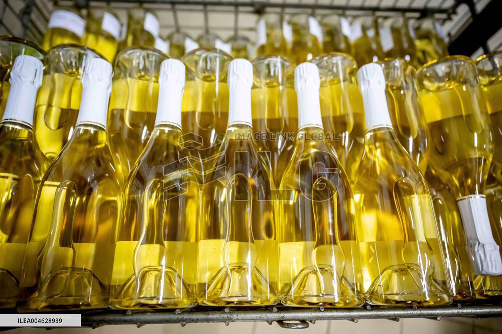 Illustration - The Making of Champagne