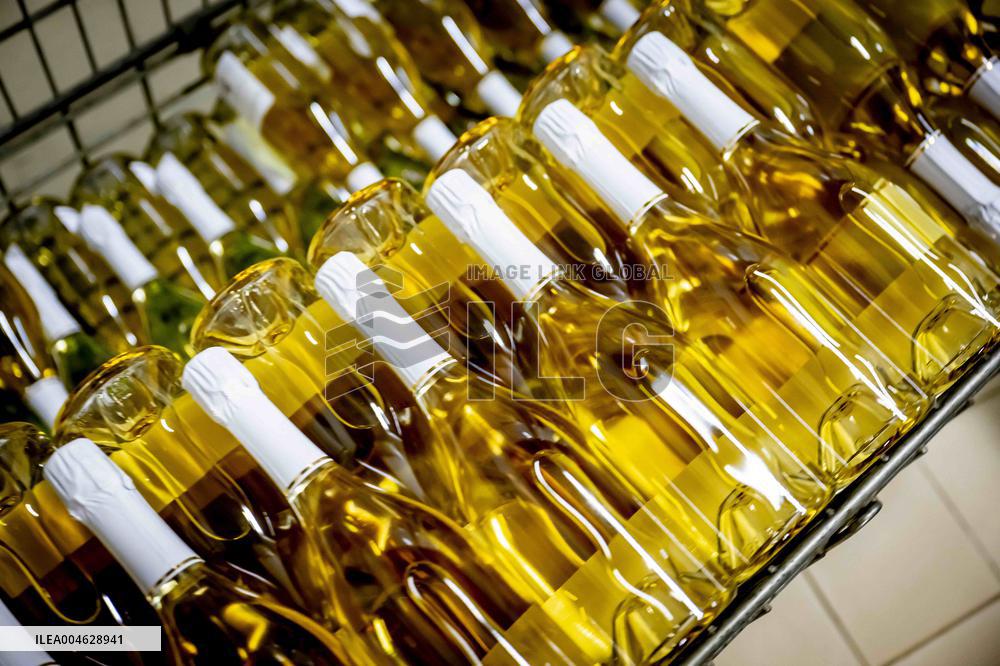 Illustration - The Making of Champagne