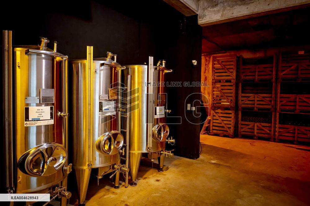 Illustration - The Making of Champagne