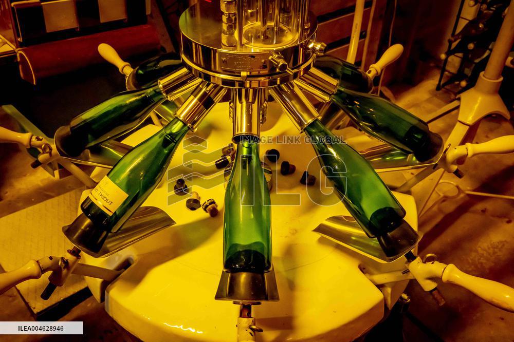 Illustration - The Making of Champagne