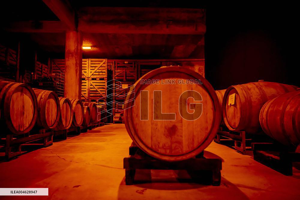 Illustration - The Making of Champagne