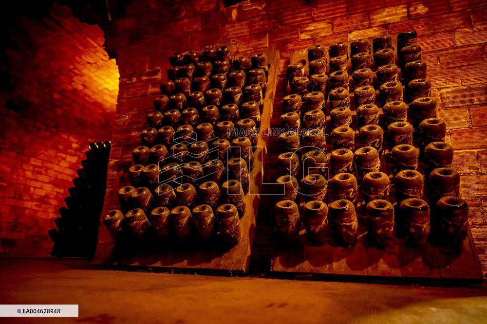 Illustration - The Making of Champagne