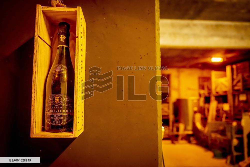 Illustration - The Making of Champagne