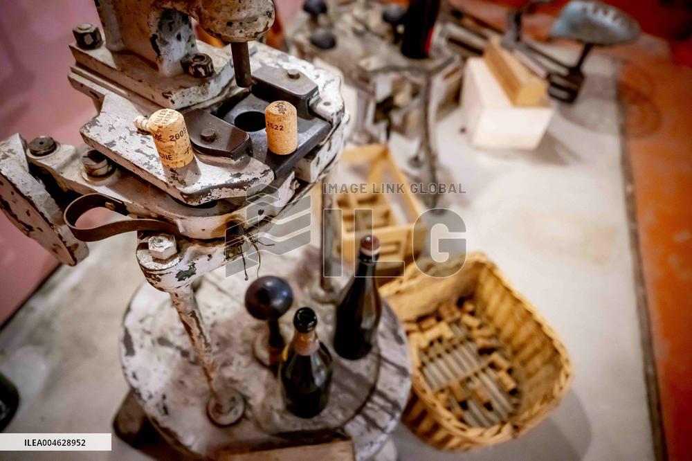 Illustration - The Making of Champagne