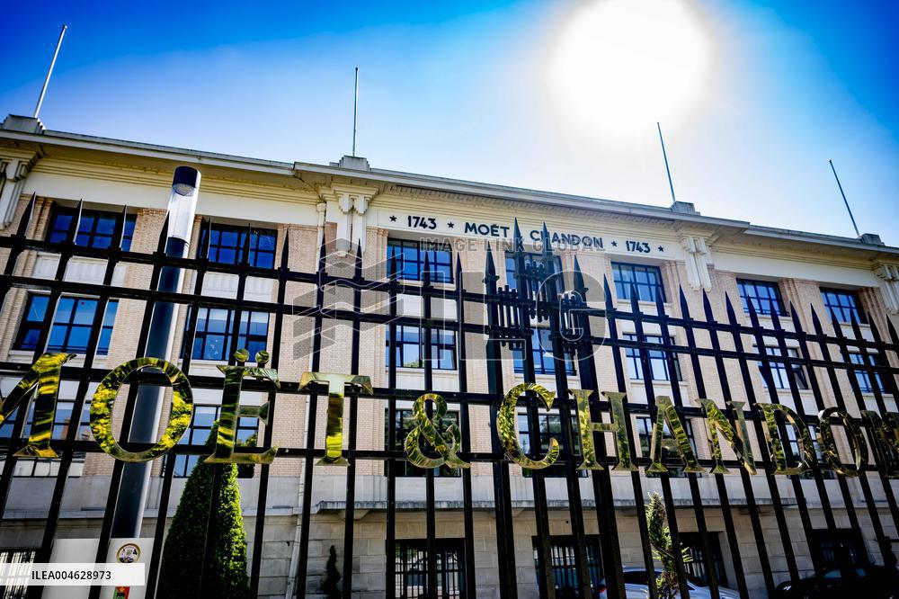 Illustration - The Making of Champagne