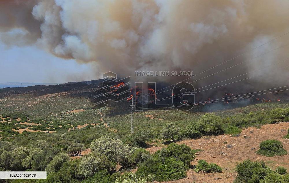 Preventive Evictions During Wildfires in Tarifa - Spain