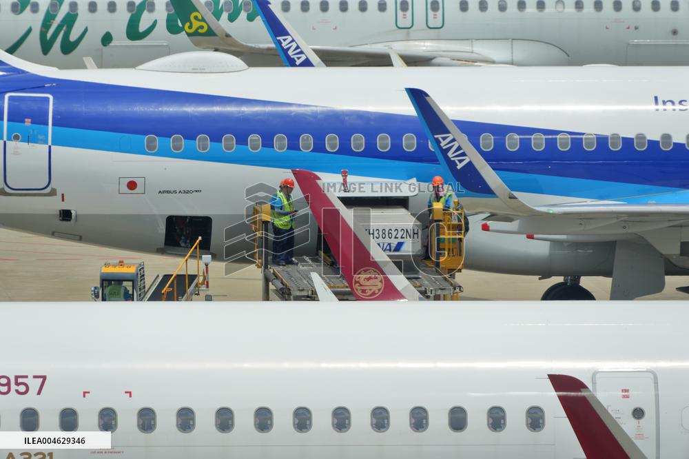 Positive Cycle Effect of Civil Aviation Volume Price