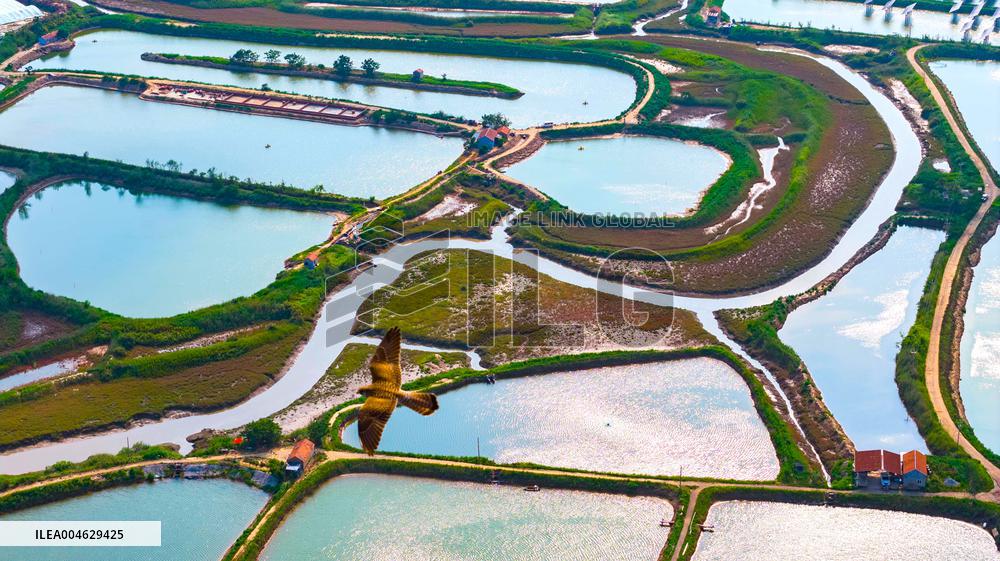 Shrimp And Crab Farming Base