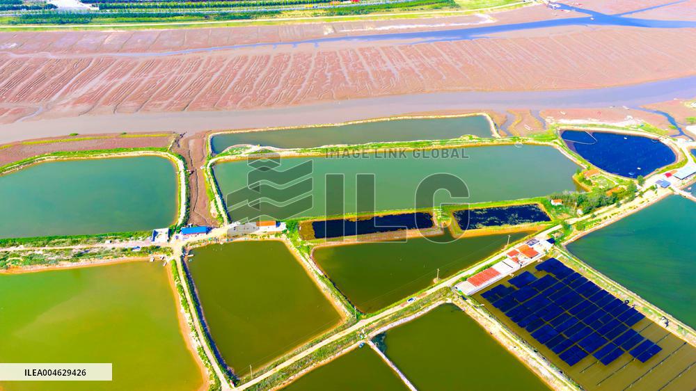 Shrimp And Crab Farming Base