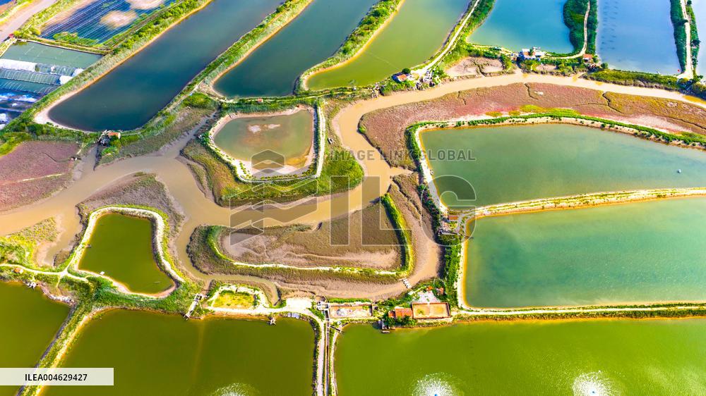 Shrimp And Crab Farming Base