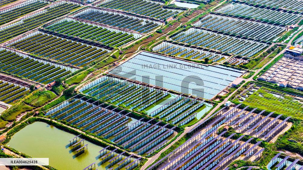 Shrimp And Crab Farming Base