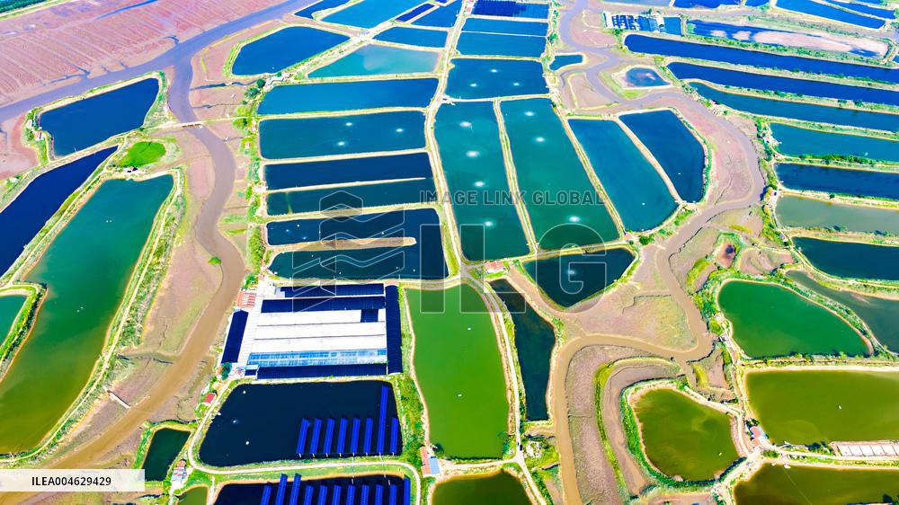 Shrimp And Crab Farming Base