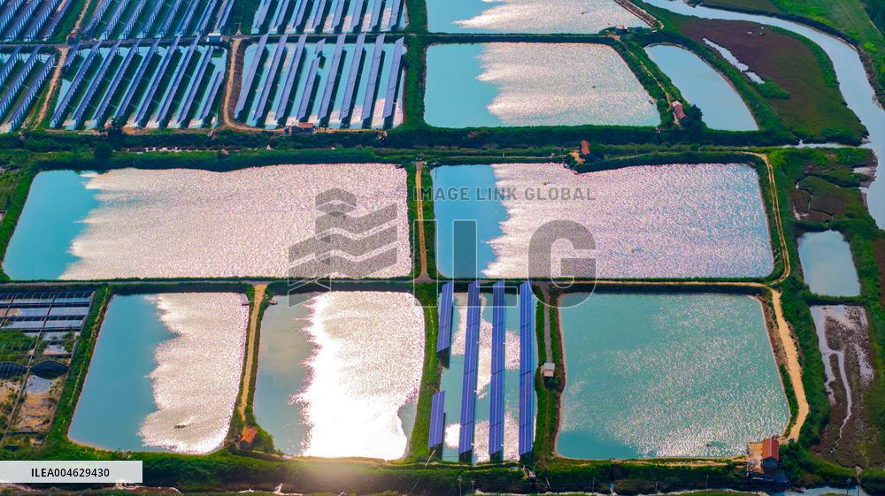 Shrimp And Crab Farming Base