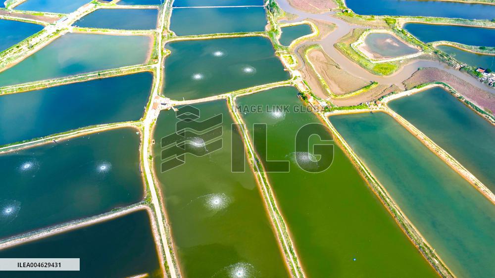 Shrimp And Crab Farming Base