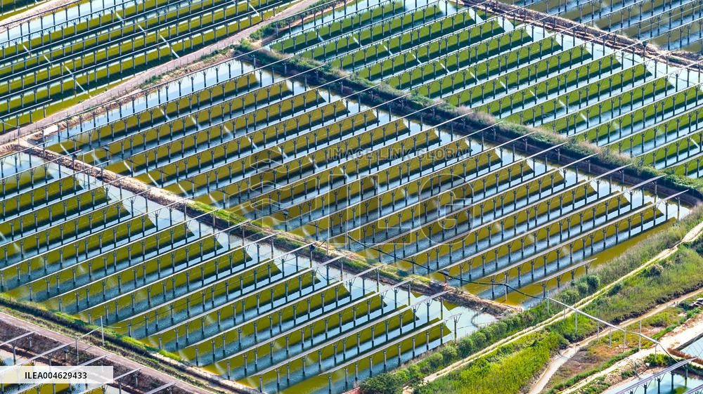 Shrimp And Crab Farming Base