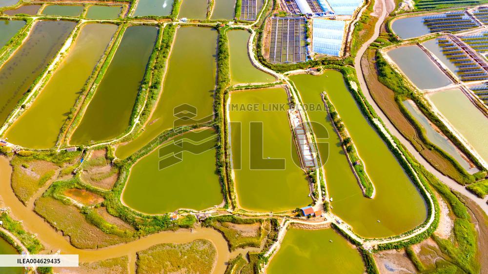 Shrimp And Crab Farming Base