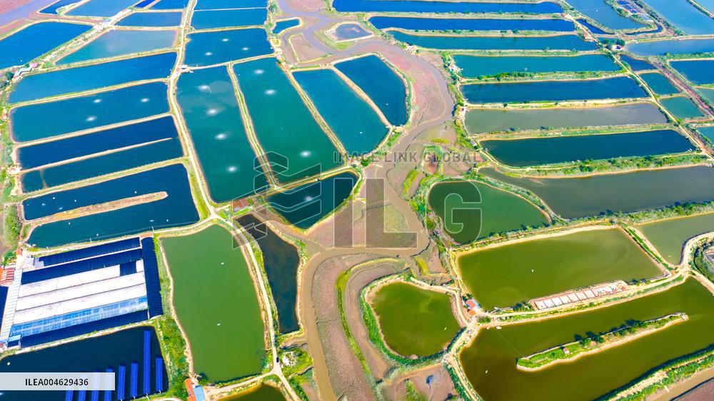 Shrimp And Crab Farming Base