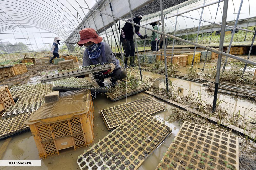 Aftermath of torrential rain in Kumamoto Pref.
