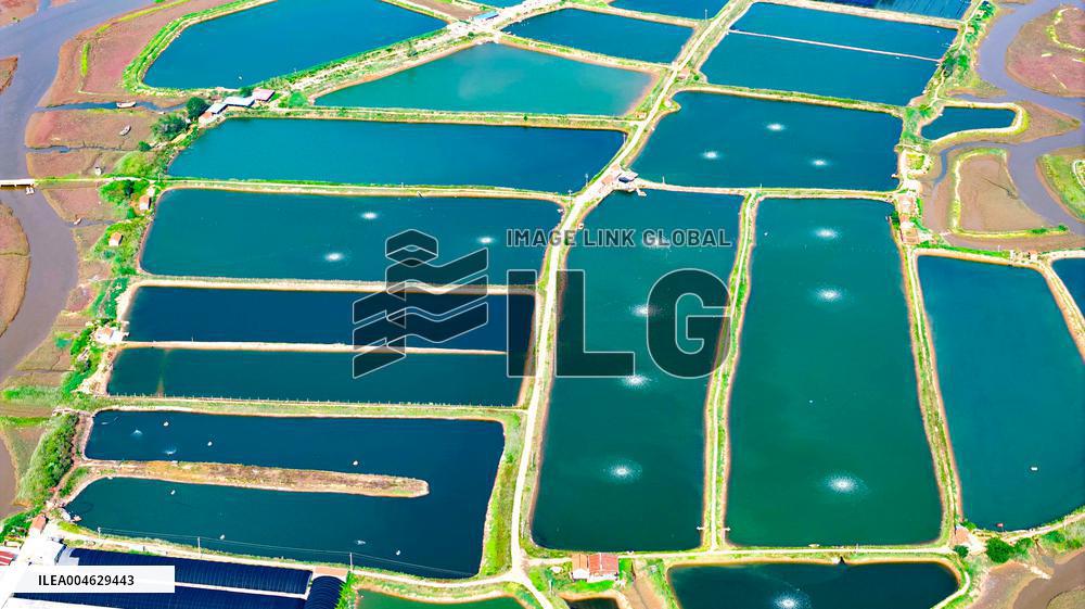 Shrimp And Crab Farming Base