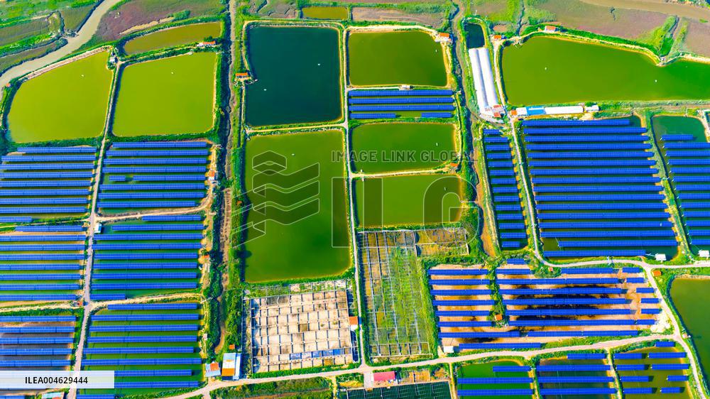 Shrimp And Crab Farming Base