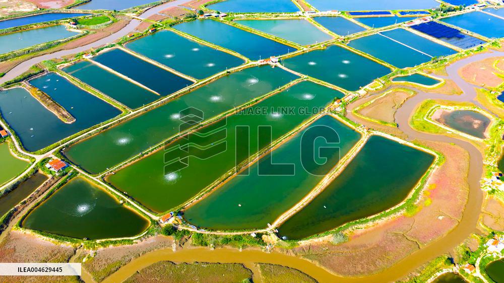 Shrimp And Crab Farming Base