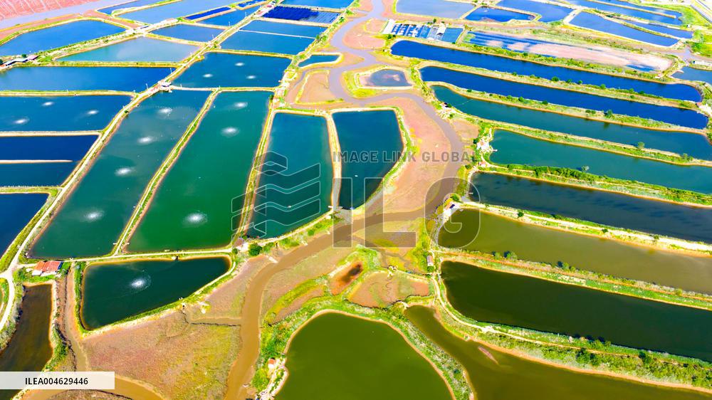 Shrimp And Crab Farming Base