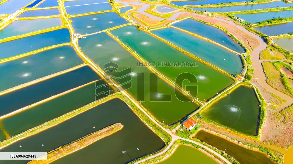 Shrimp And Crab Farming Base