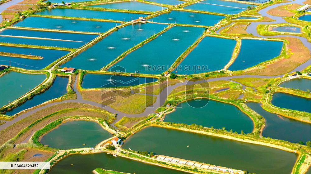 Shrimp And Crab Farming Base