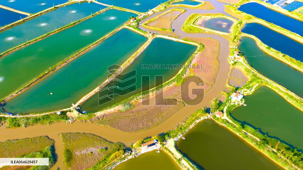 Shrimp And Crab Farming Base